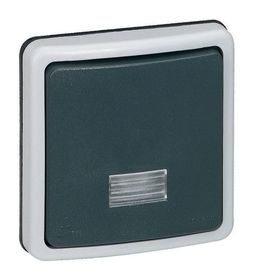 Переключатель 1-клавишный PLEXO 55, с подсветкой, скрытый монтаж, серый
