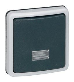 Выключатель 1-клавишный кнопочный PLEXO 55, с подсветкой, скрытый монтаж, серый